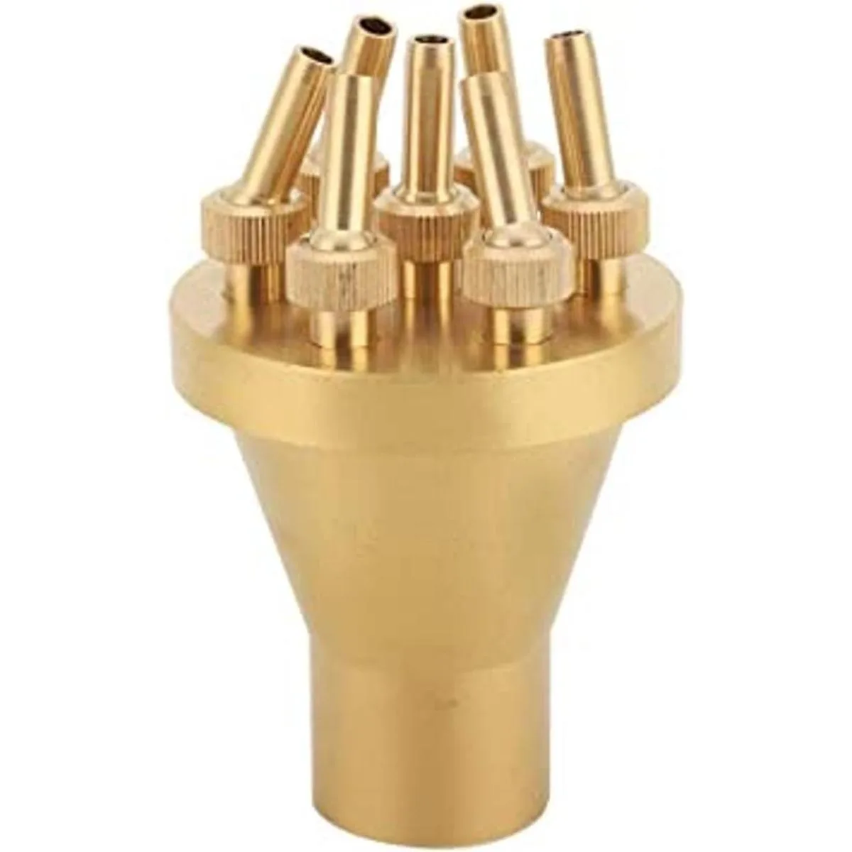 FNPT DN25 Boquilla de fuente de estilo recto central de 2