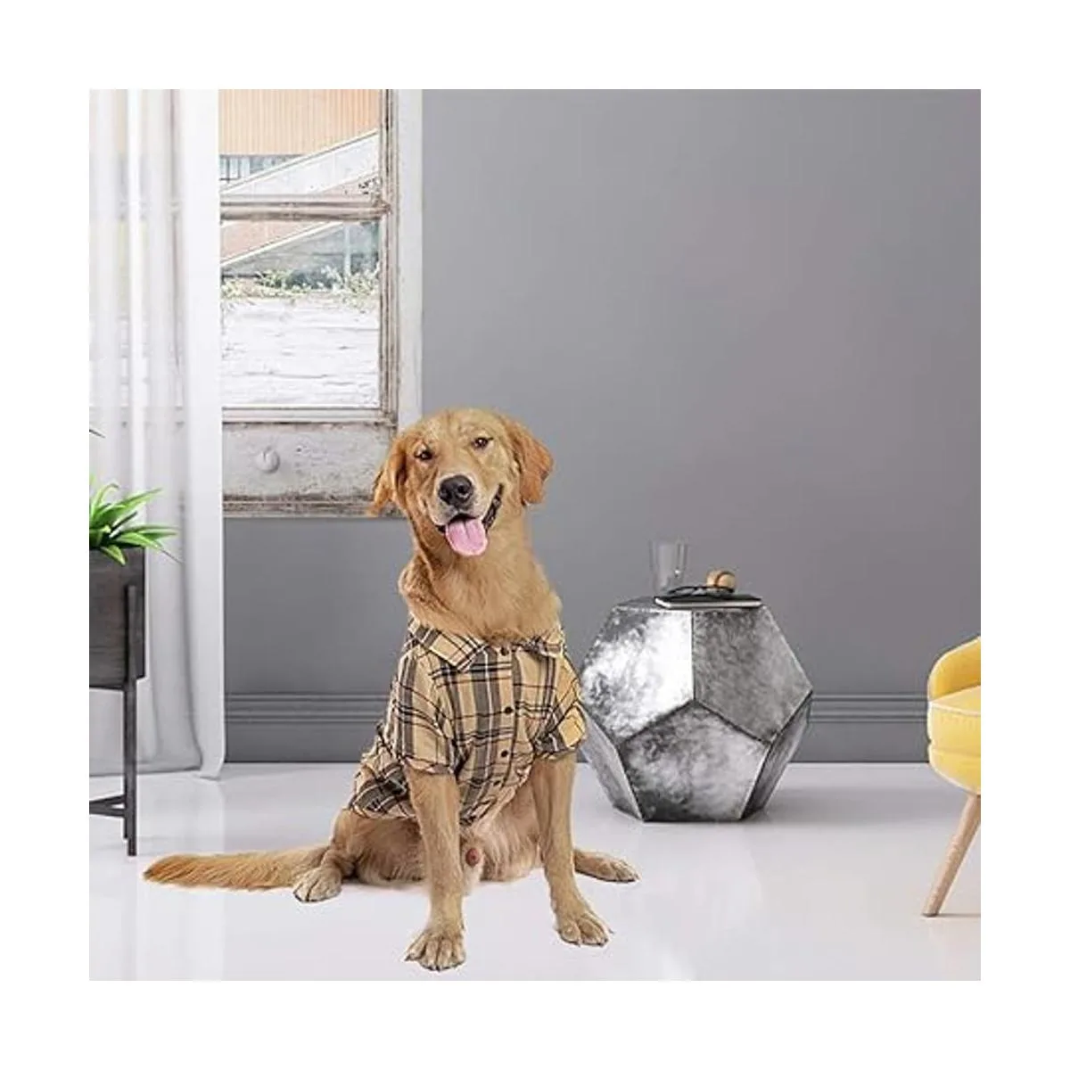 Camisa a cuadros para perros linda camiseta polo para