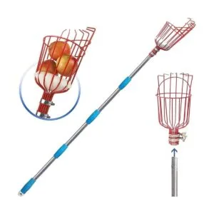 COCONUT Herramienta para recolectar frutas recogedor de_1