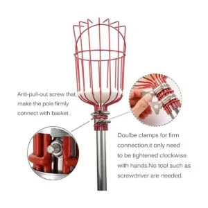 COCONUT Herramienta para recolectar frutas recogedor de_3