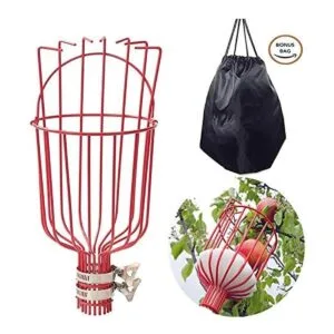 COCONUT Herramienta para recolectar frutas recogedor de_2