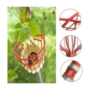 COCONUT Herramienta para recolectar frutas recogedor de_4