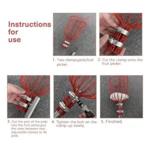 COCONUT Herramienta para recolectar frutas recogedor de_5