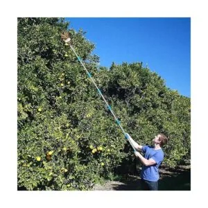 COCONUT Herramienta para recolectar frutas recogedor de_6