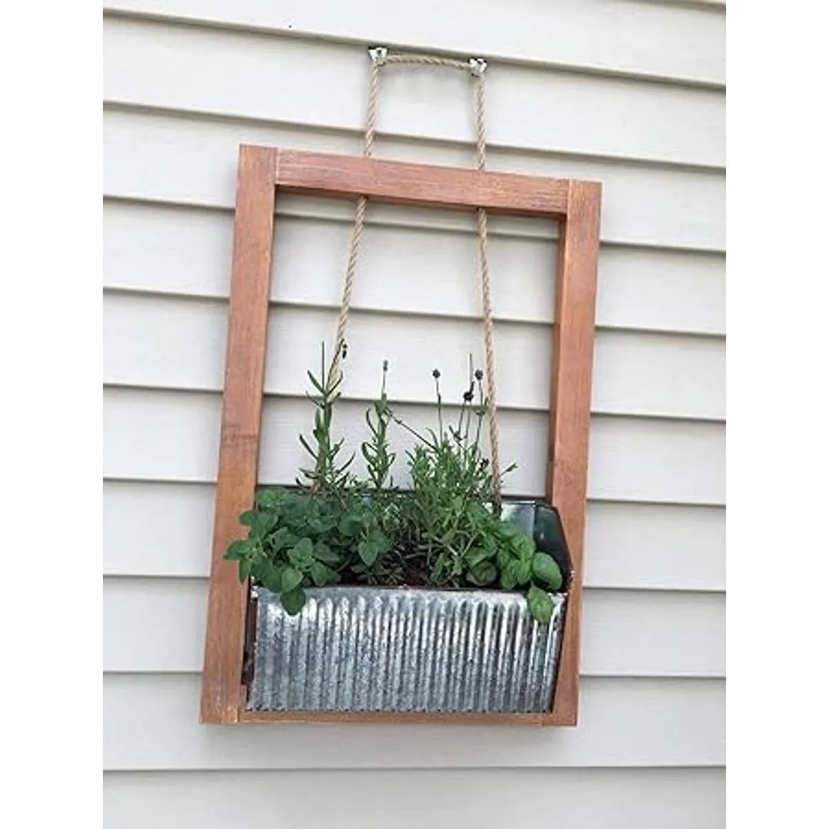 Ganchos de vinilo para colgar paquete de 12 sin_6