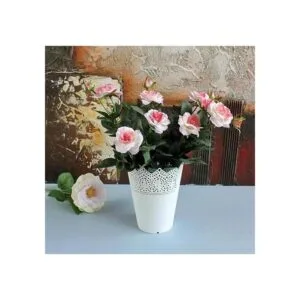 DODXIAOBEUL Lote de 5 soportes para flores de 5.1 in de_3