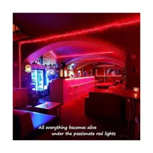 Areful Cuerda de luces LED de 16 pies impermeable_3