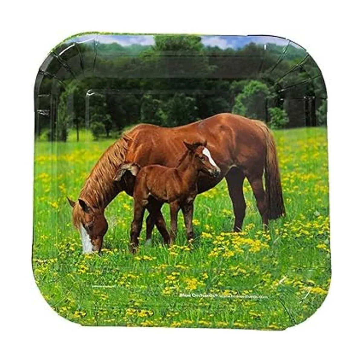 Paquete de suministros para fiesta de caballos 116 piezas_4