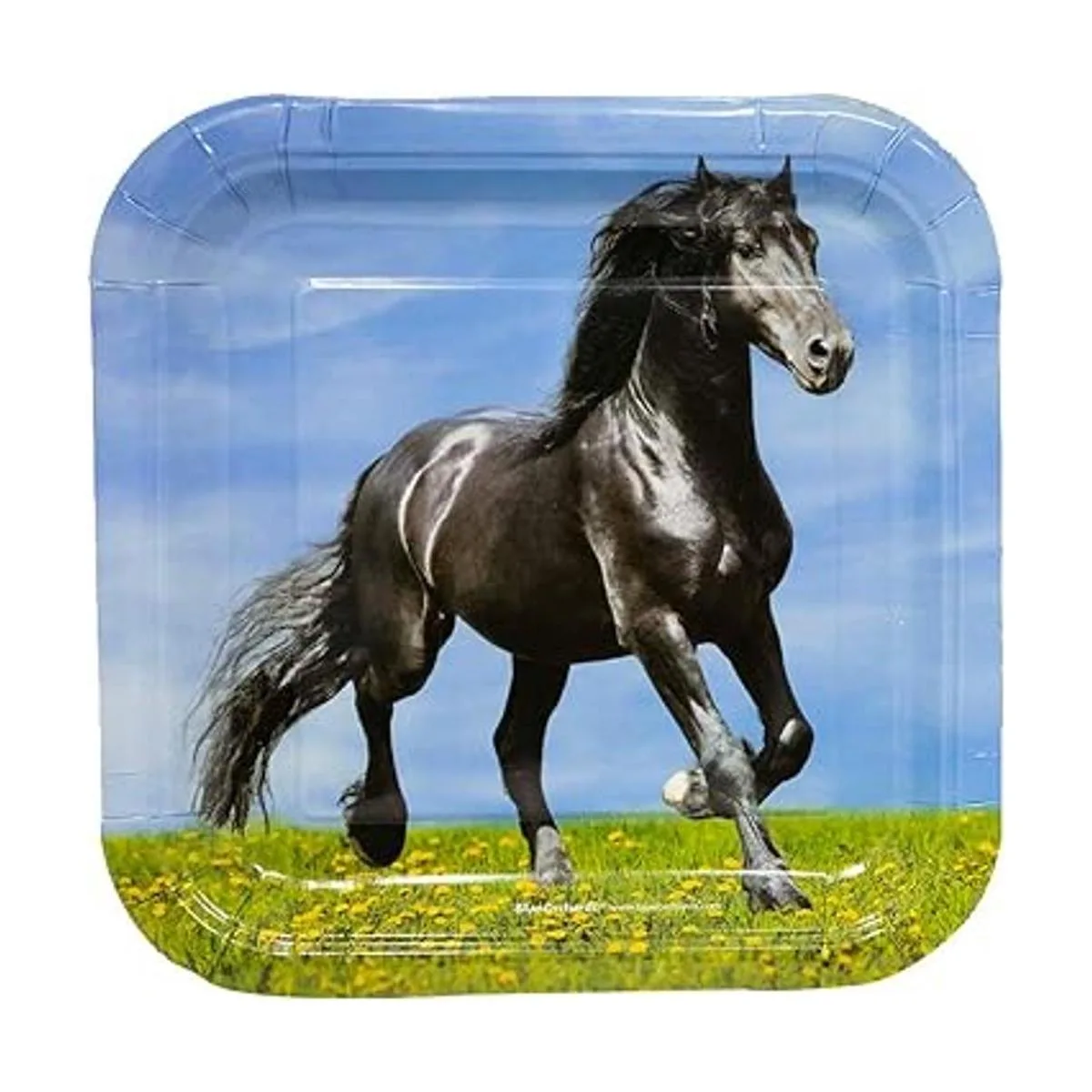 Paquete de suministros para fiesta de caballos 116 piezas_3