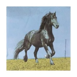 Paquete de suministros para fiesta de caballos 116 piezas_5