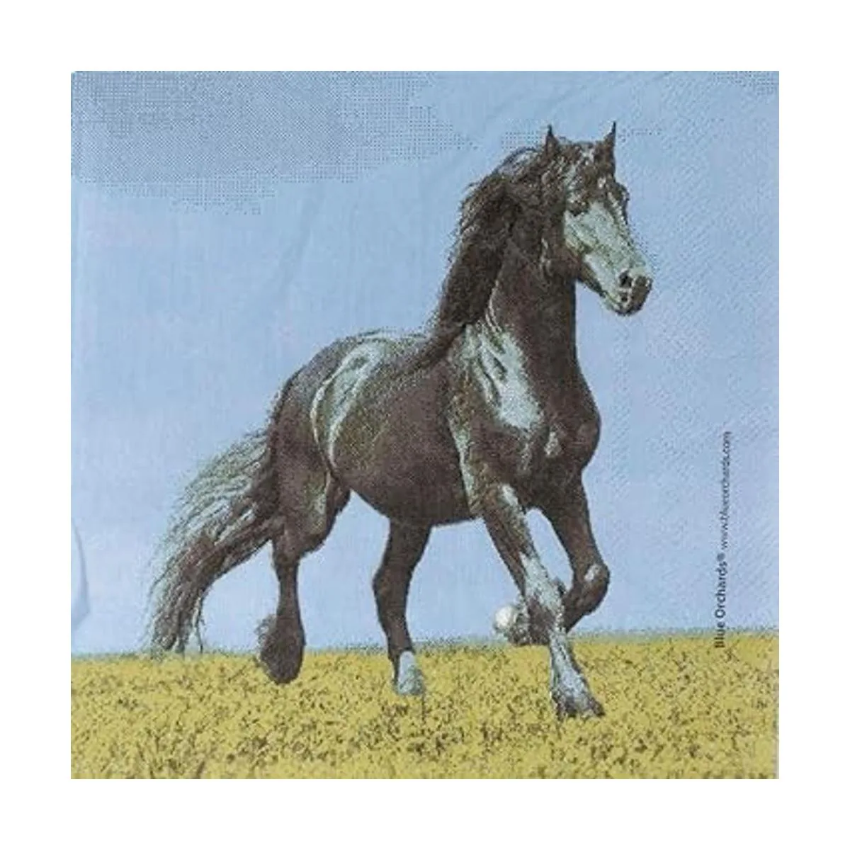 Paquete de suministros para fiesta de caballos 116 piezas_5