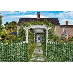 DearHouse DearHouse Valla de privacidad de hiedra