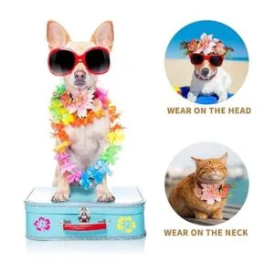 POPETPOP Diadema para perro diseño de flores