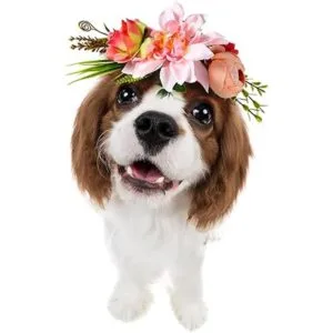 POPETPOP Diadema para perro diseño de flores