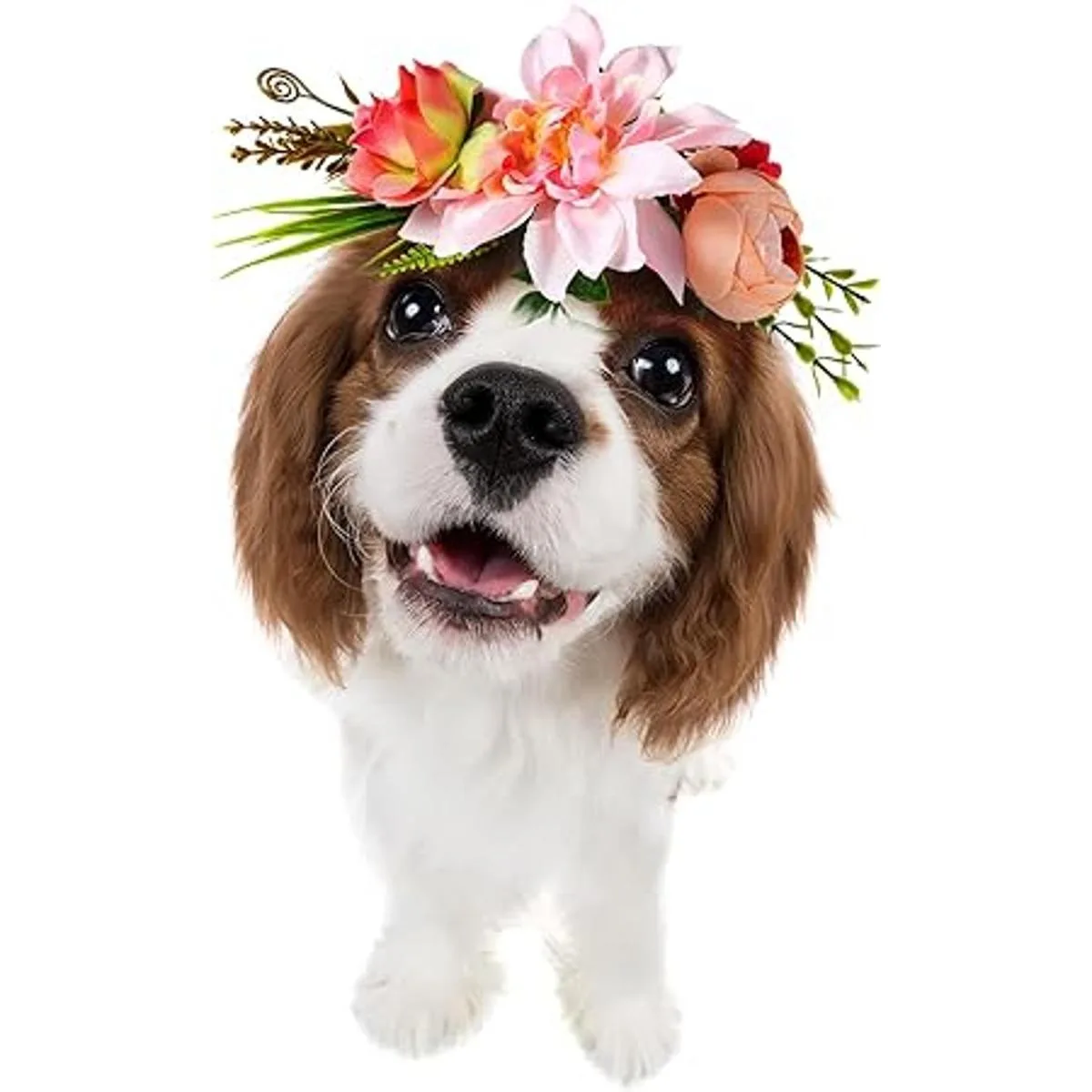 POPETPOP Diadema para perro diseño de flores