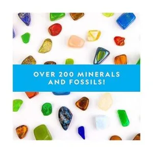 NATIONAL GEOGRAPHIC Kit de rocas y fósiles El juego de_4