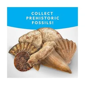 NATIONAL GEOGRAPHIC Kit de rocas y fósiles El juego de_3