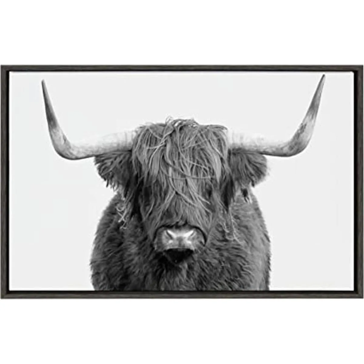 Kate and Laurel Sylvie Highland Cow Lienzo enmarcado para_1