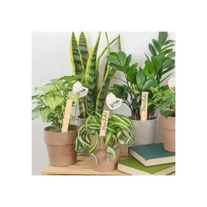 50 etiquetas de plantas de madera impermeables