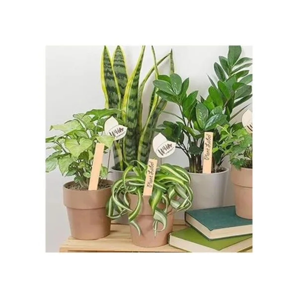 50 etiquetas de plantas de madera impermeables