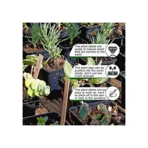 50 etiquetas de plantas de madera impermeables