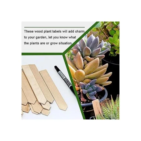 50 etiquetas de plantas de madera impermeables