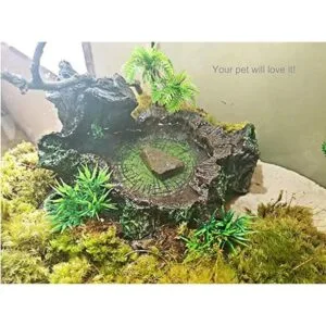 PINVNBY Plataforma de resina para reptiles de árbol