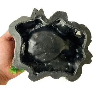 PINVNBY Plataforma de resina para reptiles de árbol