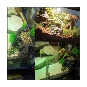 PINVNBY Plataforma de resina para reptiles de árbol