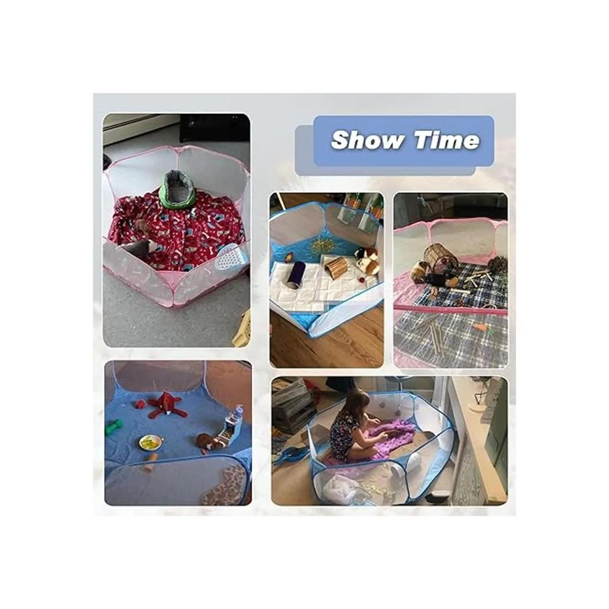 Rypet Accesorios de conejillo de indias para conejillos de