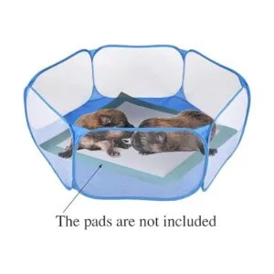 Rypet Accesorios de conejillo de indias para conejillos de