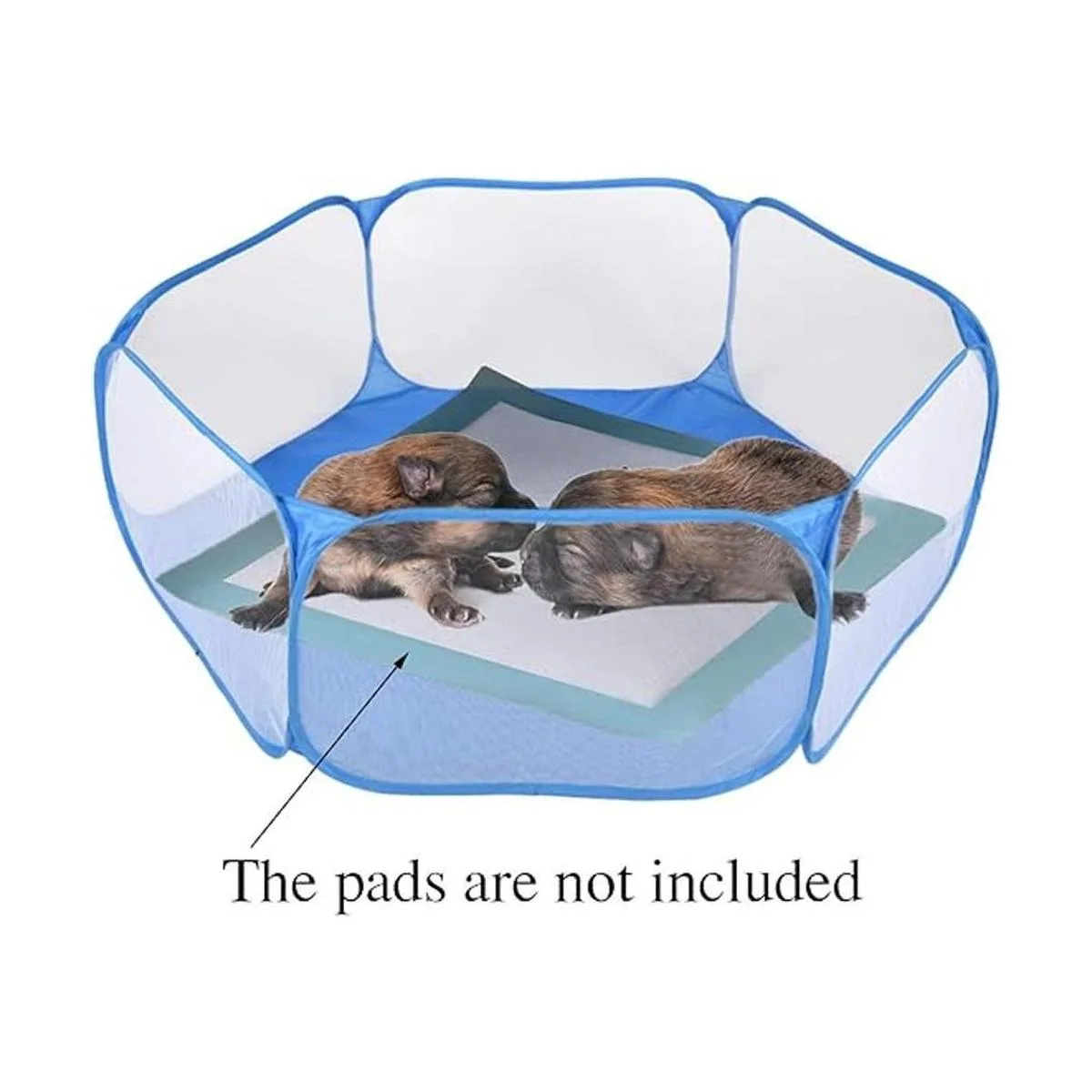 Rypet Accesorios de conejillo de indias para conejillos de