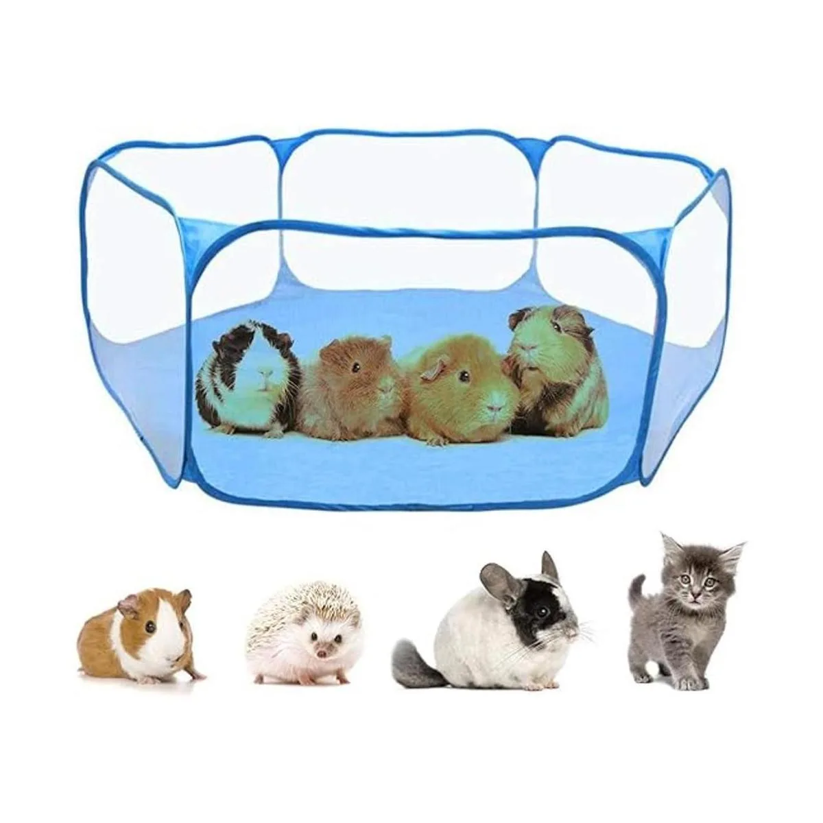 Rypet Accesorios de conejillo de indias para conejillos de