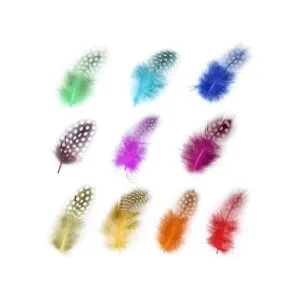 MWOOT Plumas de pollo naturales para manualidades 120