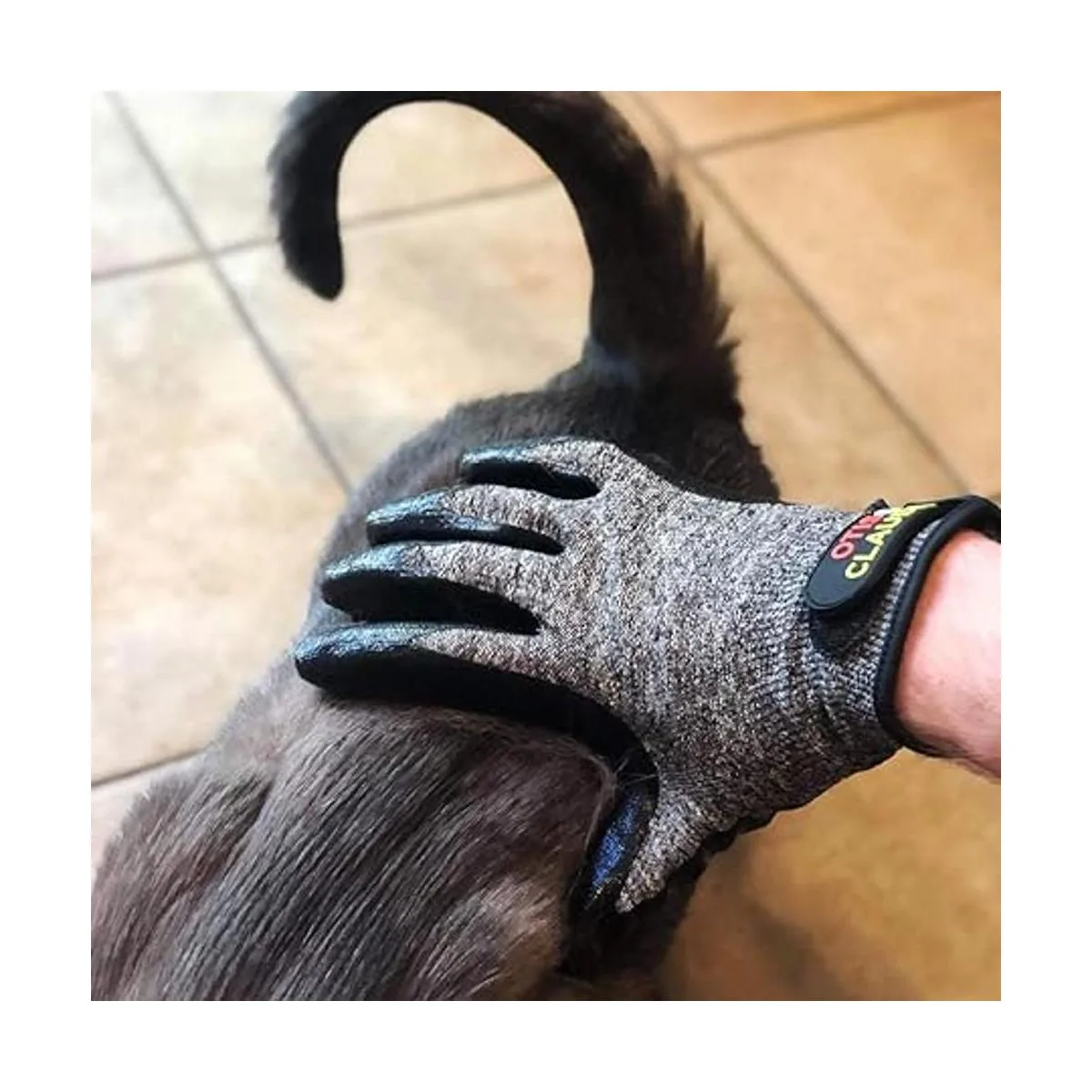 Otis Claude Guantes de aseo para mascotas con correa