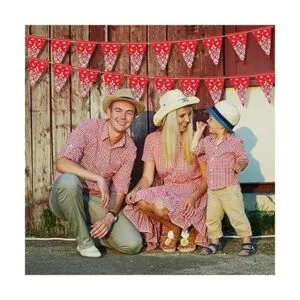 Paquete de 5 banderines de banderines de Navidad_4