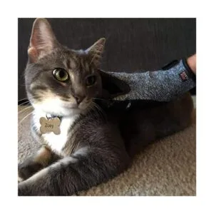 Otis Claude Guantes de aseo para mascotas con correa