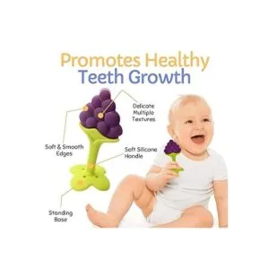 Baby Teething Toys Soft Silicone Fruit Teether Set with_3