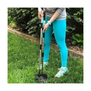 Bodhi Dog Metal Long Handle Tray and Rake Pooper Scooper_5