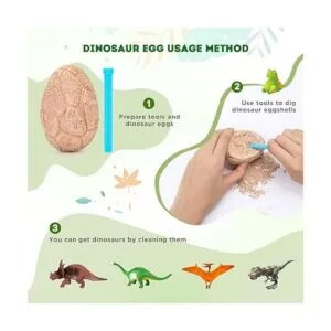 Huevos fósiles de dinosaurio para excavar abre 12 huevos_3