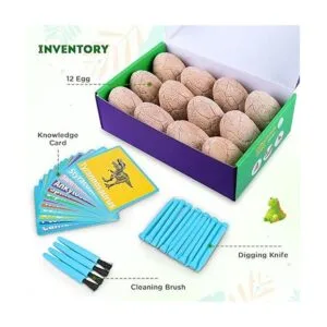 Huevos fósiles de dinosaurio para excavar abre 12 huevos_2