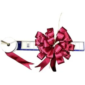 Delux EZ Bowmaker Herramienta para hacer moños Aparato