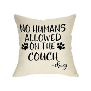 FBCOO No Humans Allowed on The Sofa Funda de almohada