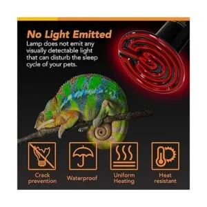 Simple Deluxe 150W Reptile Heat Bulb and 8.5 inch Clamp