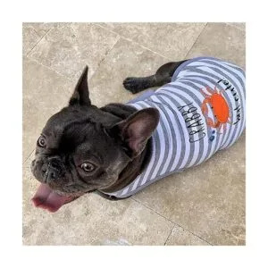 Parisian Pet Divertida camiseta para perro Ropa de_5
