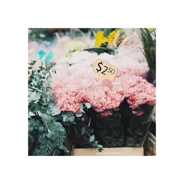 AIEX 30 etiquetas de bambú para plantas de plantas de_3