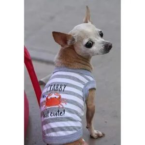 Parisian Pet Divertida camiseta para perro Ropa de_4