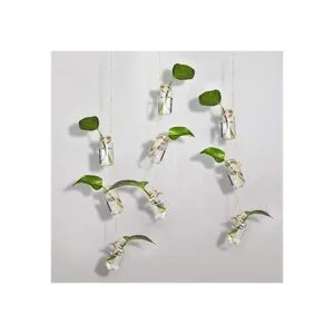 Brajttt 64 tapones de corcho para botellas de vidrio_5