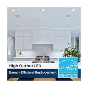 Feit Electric Luz LED empotrable ajustable de 4 pulgadas