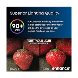 Feit Electric Luz LED empotrable ajustable de 4 pulgadas